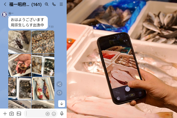 仕入れ情報LINEお知らせサービス