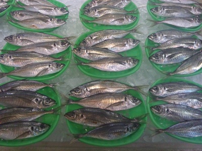 120110_152023.jpg