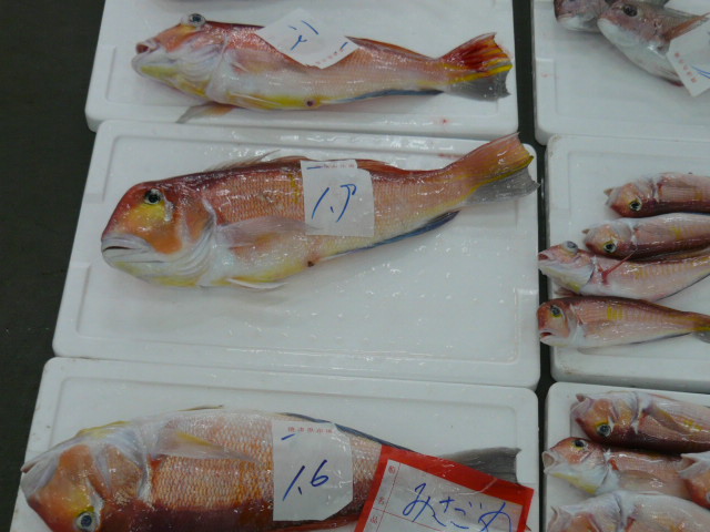 P1010185.JPG