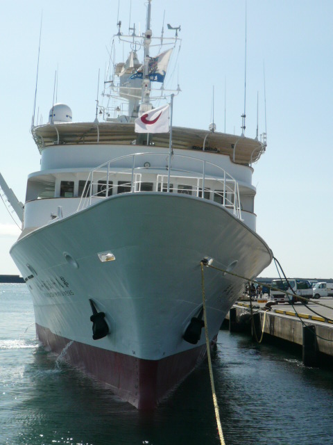 P1010477.JPG