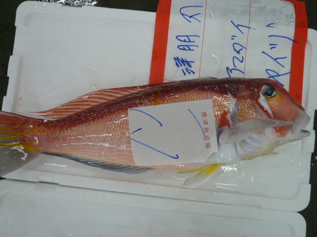 P1010657.JPG