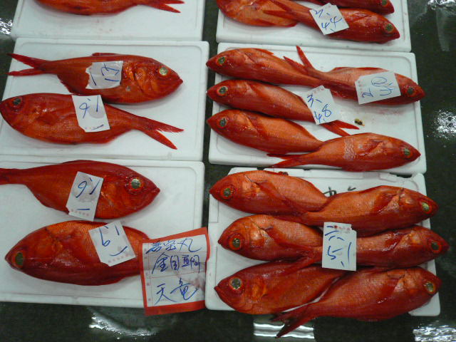 P1010986.JPG
