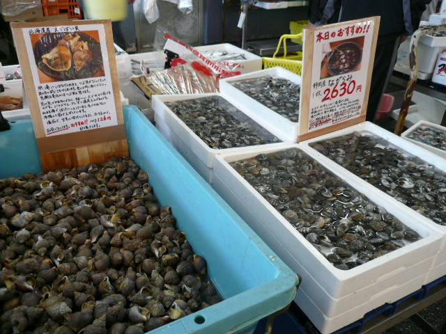 P1040973.JPG