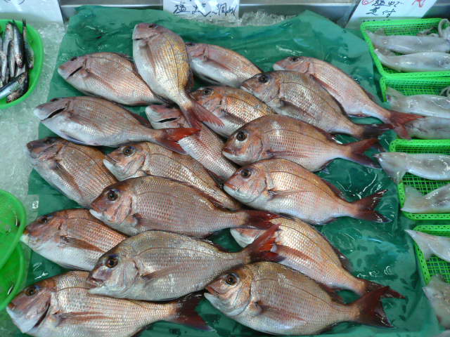 P1050045.JPG