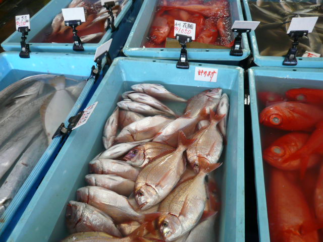 P1050046.JPG