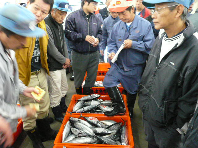 P1050077.JPG