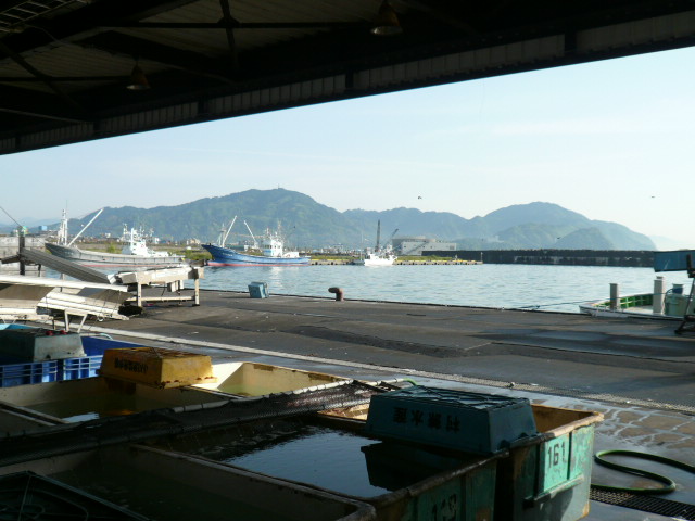 P1050096.JPG