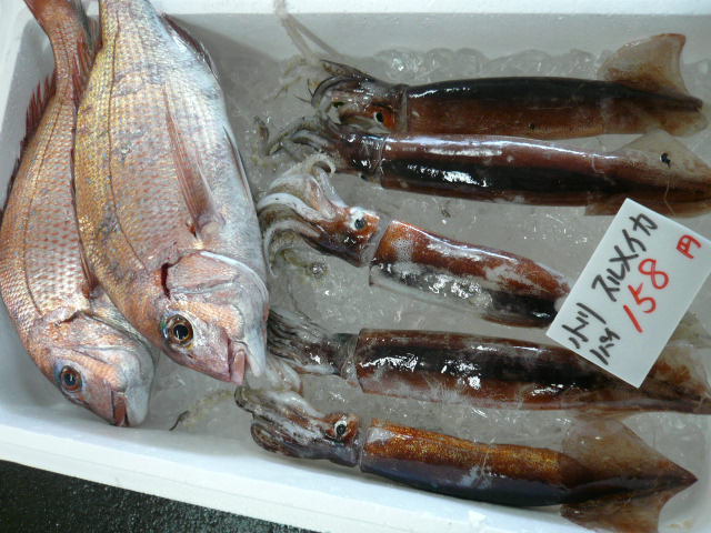 P1050117.JPG