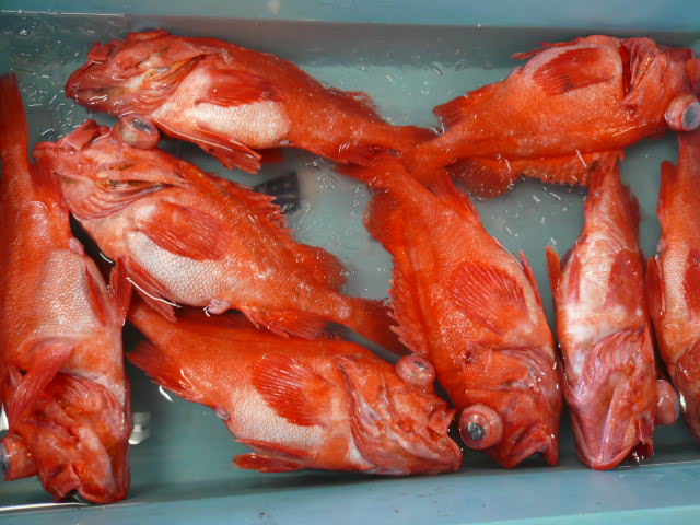 P1050168.JPG