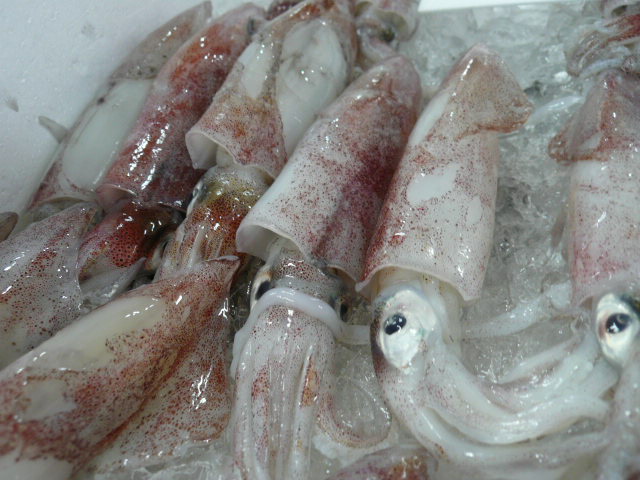 P1050239.JPG