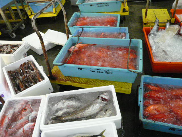 P1050291.JPG