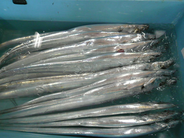 P1050333.JPG