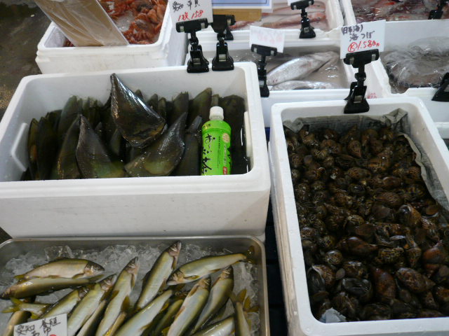 P1050442.JPG