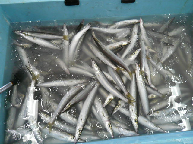 P1050475.JPG