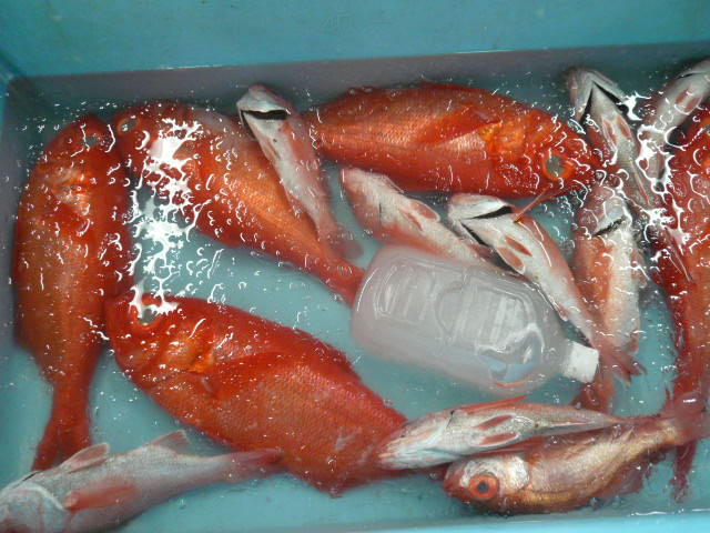 P1050754.JPG