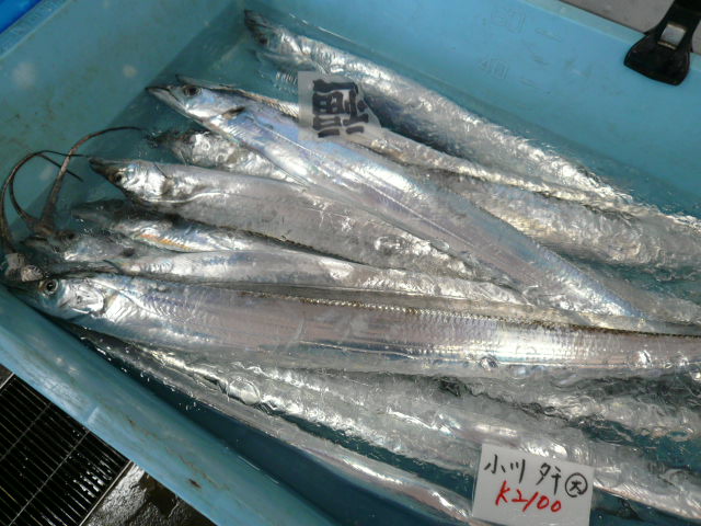 P1050757.JPG