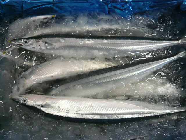 P1050765.JPG