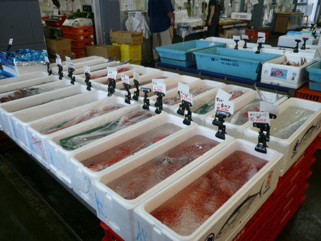 P1050773.JPG