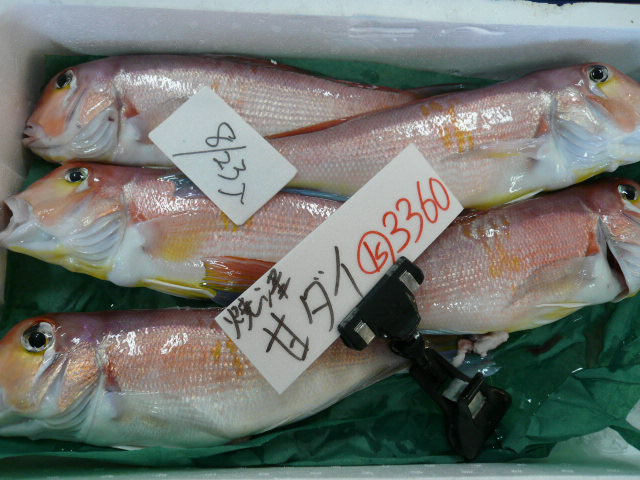 P1050794.JPG