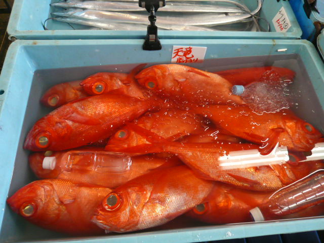 P1050853.JPG