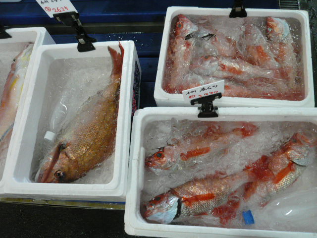 P1050884.JPG