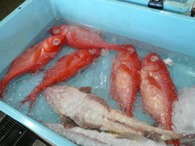 P1050890.JPG