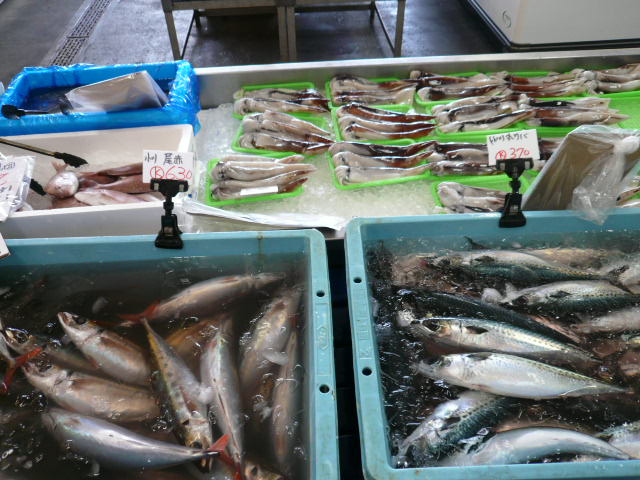 P1050892.JPG