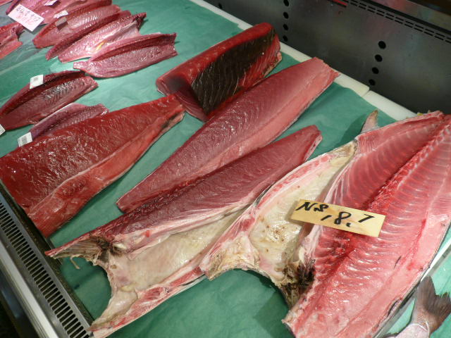 P1050923.JPG