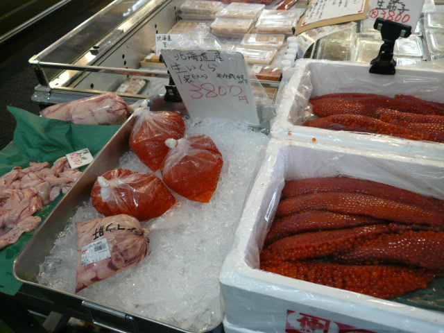 P1050942.JPG