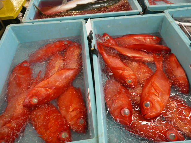 P1060013.JPG