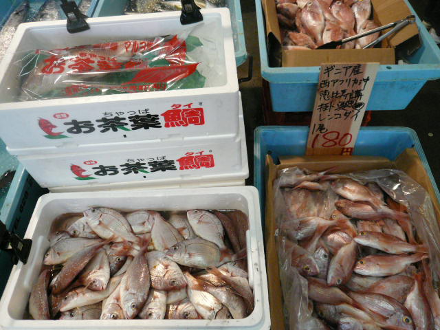 P1060465.JPG
