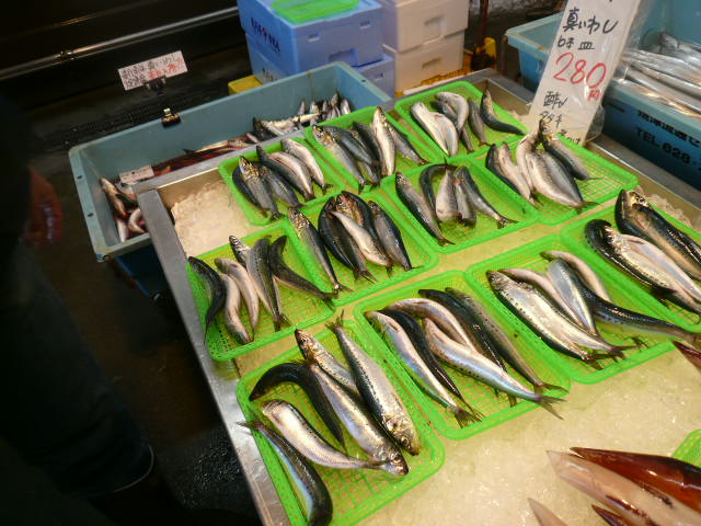 P1060664.JPG