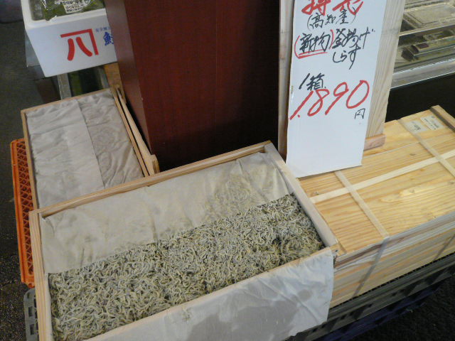 P1060704.JPG
