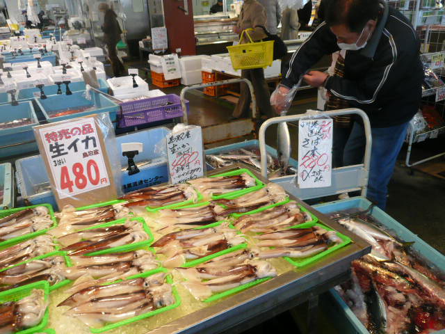 P1060844.JPG