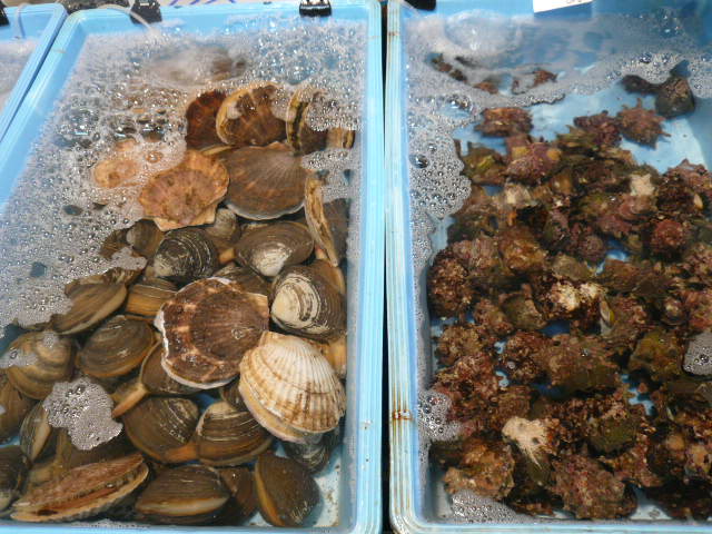P1070006.JPG
