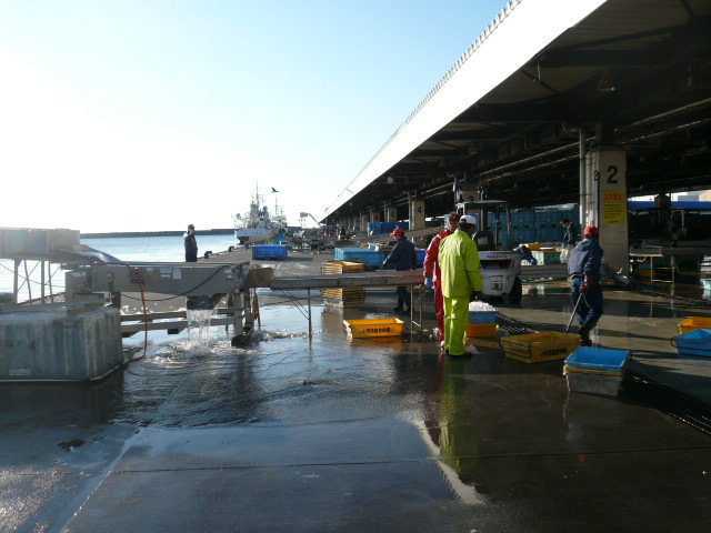 P1070099.JPG