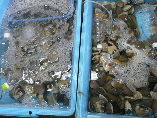 P1070459.JPG