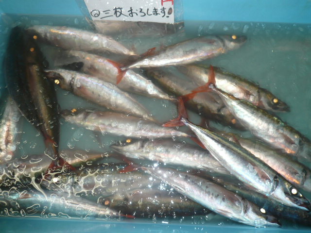 P1070620.JPG
