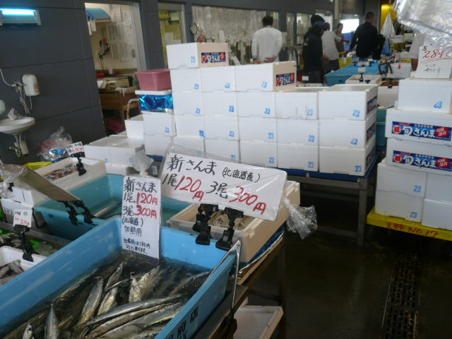 P1070682.JPG