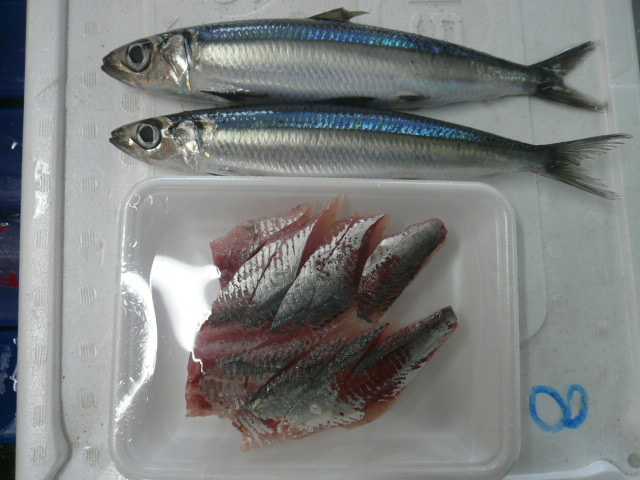 P1080213.JPG