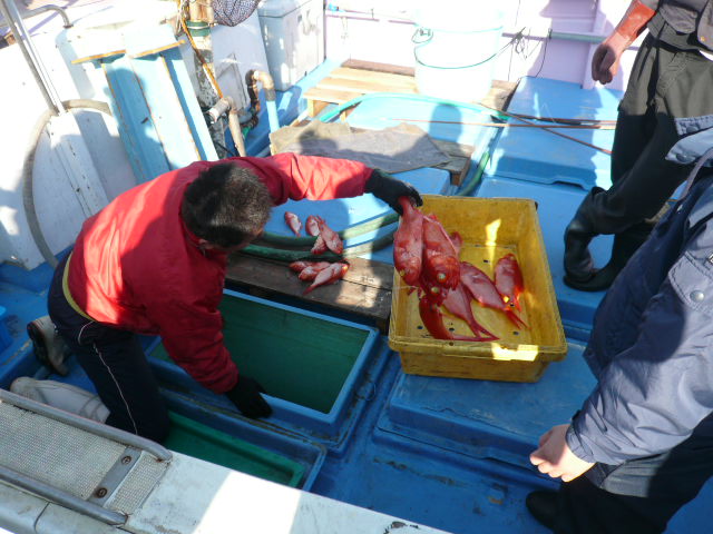 P1080294.JPG