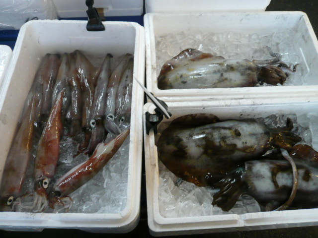 P1080381.JPG