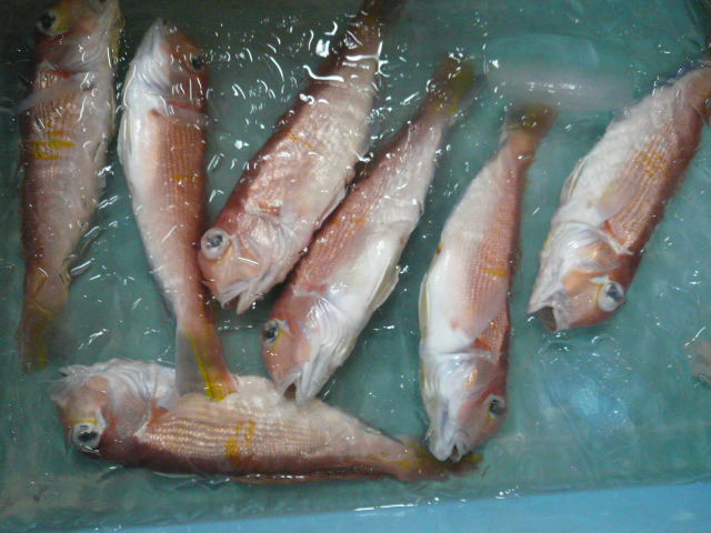 P1080420.JPG