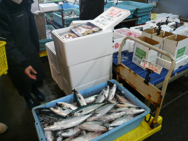 P1080439.JPG